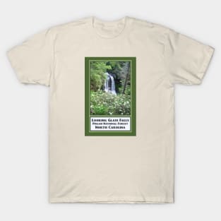 Vintage Travel Looking Glass Falls T-Shirt